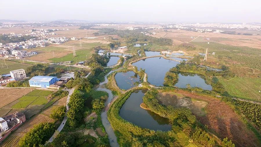 5c1c641f10eb6.jpg 9.jpg